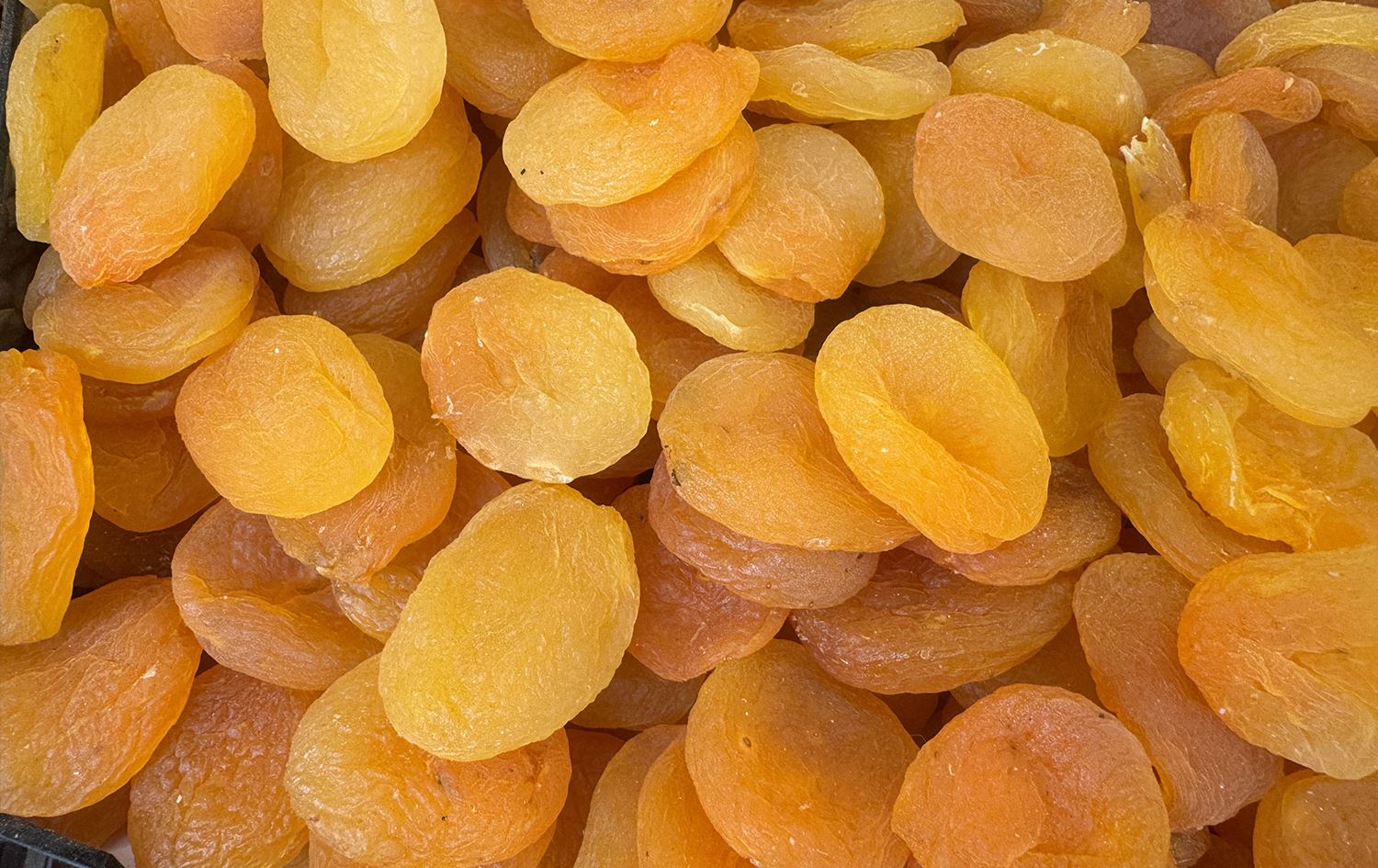 Qeysiyên hişkkirî / Wêne: AA