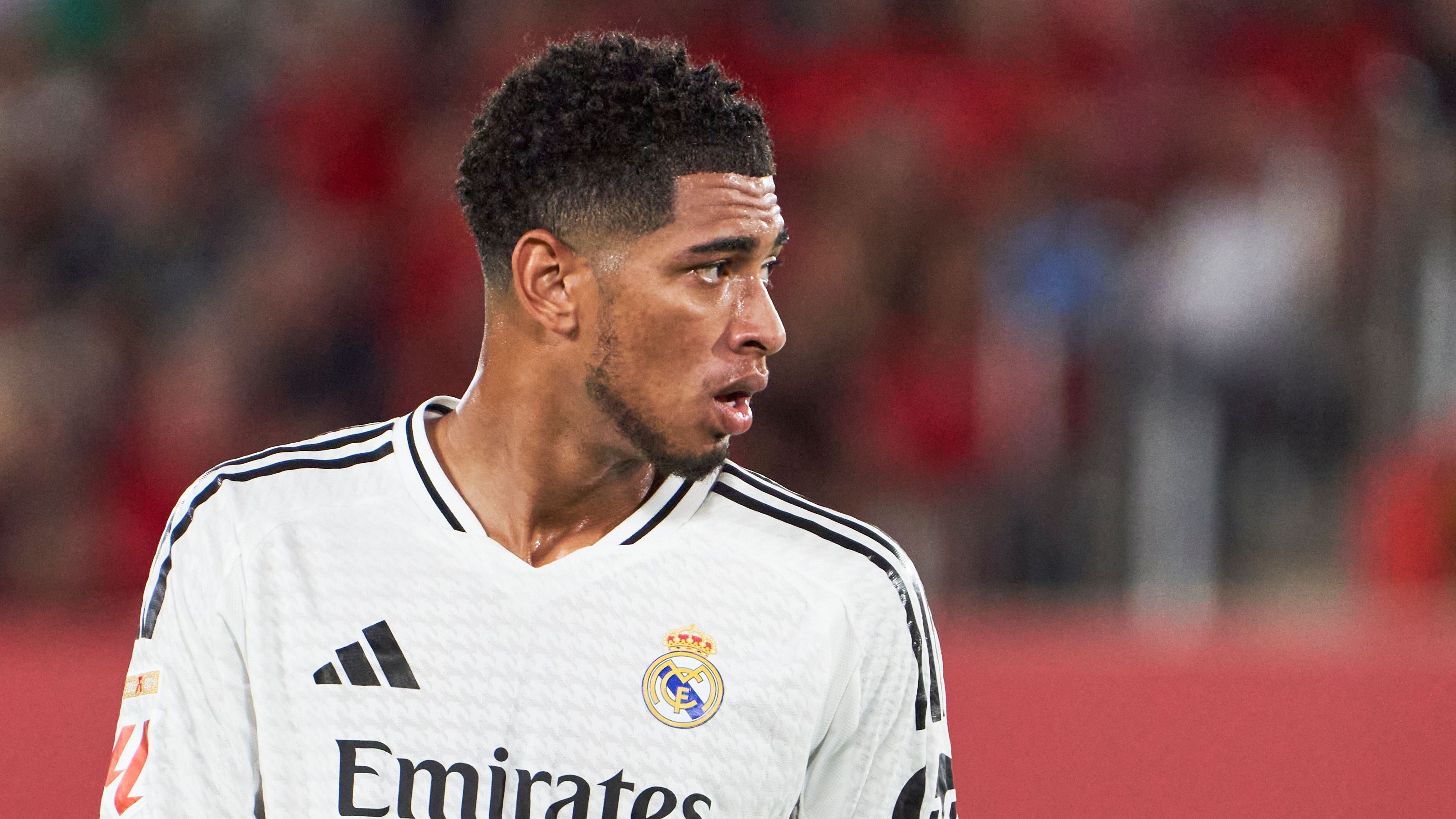 ئێمپاپێ خۆری بێلینگهام ئاوا دەکات؟