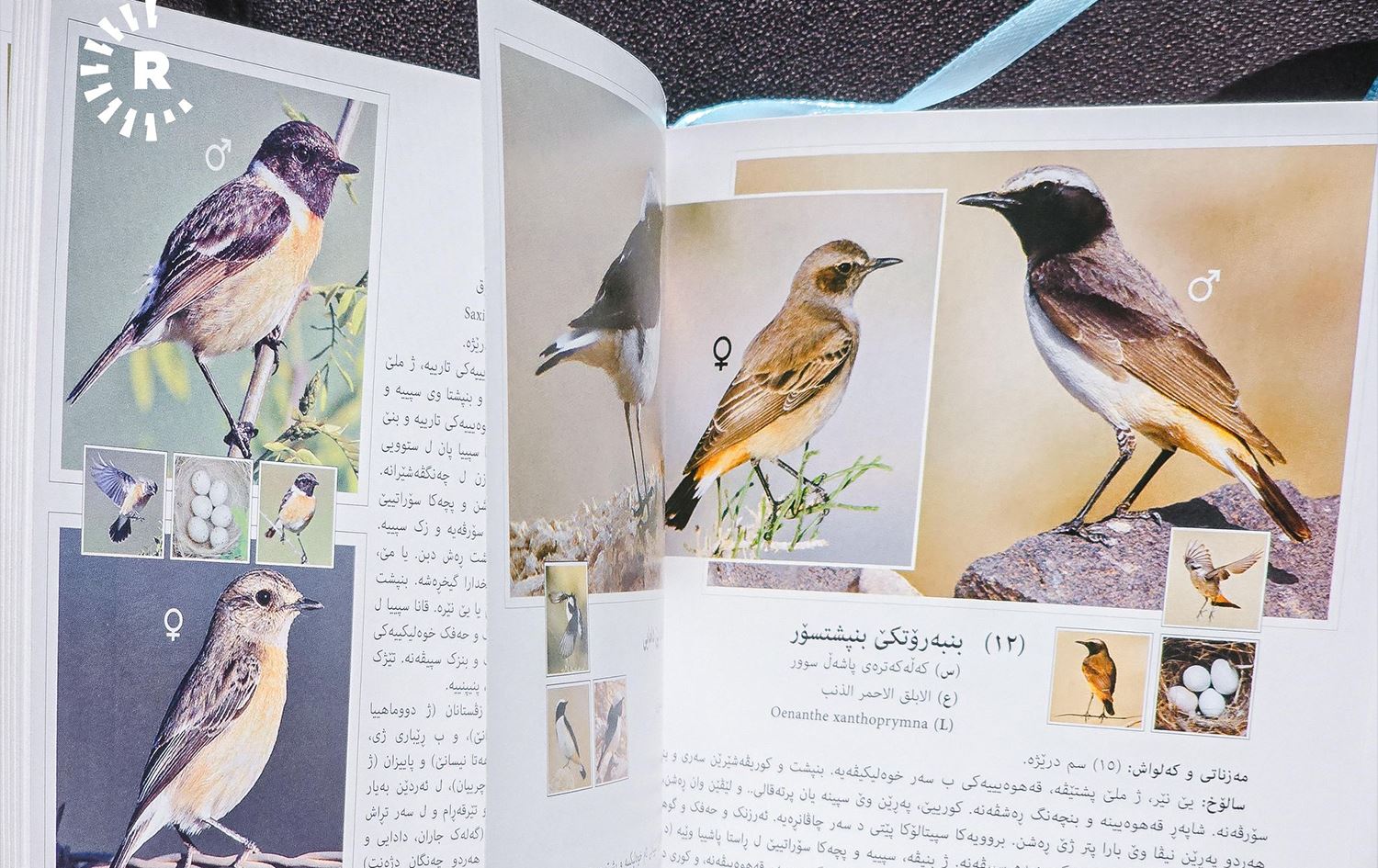 Pirtûka Balindeyên Kurdistanê\ Wêne: Bilind Tahir\ Rûdaw