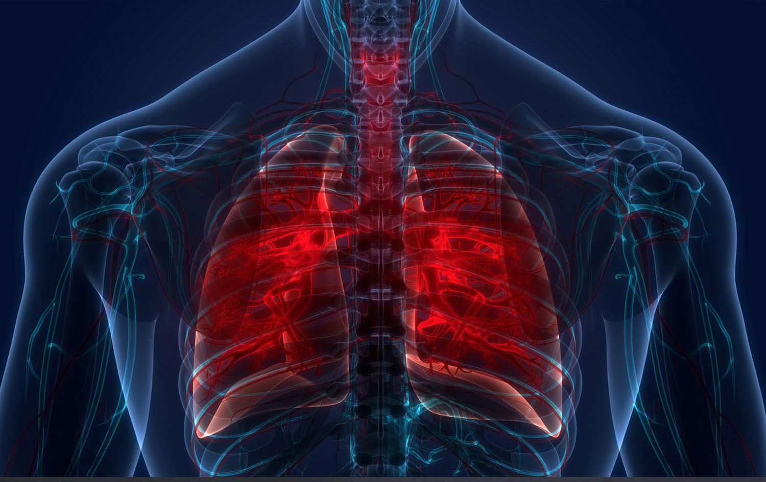WHO: لە جیهان تووشبوون بە نەخۆشیی سیل لە زیادبوونە