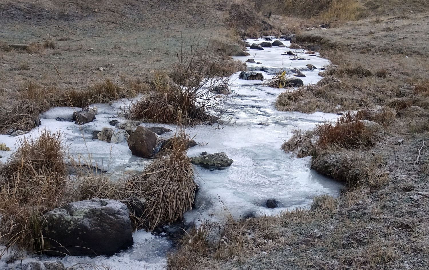 Li Qersê çeman qeşa girtiye / Wêne: AA