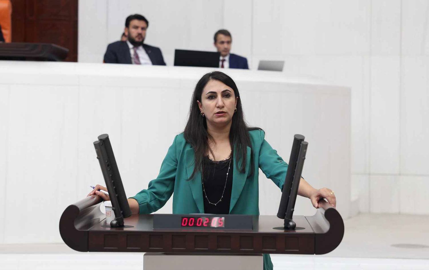 DEM Parti Batman Milletvekili Zeynep Oduncu Kutevi