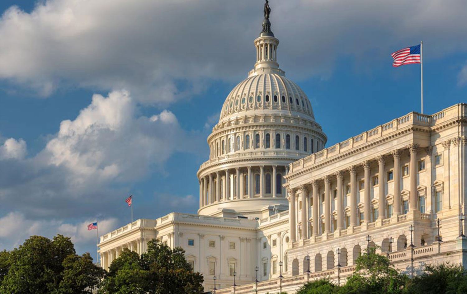 Koşka Spî ya Amerîkayê/Wêne: Arşîv