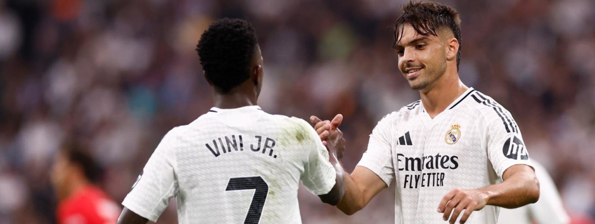 ئاسێنسیو و ڤینی