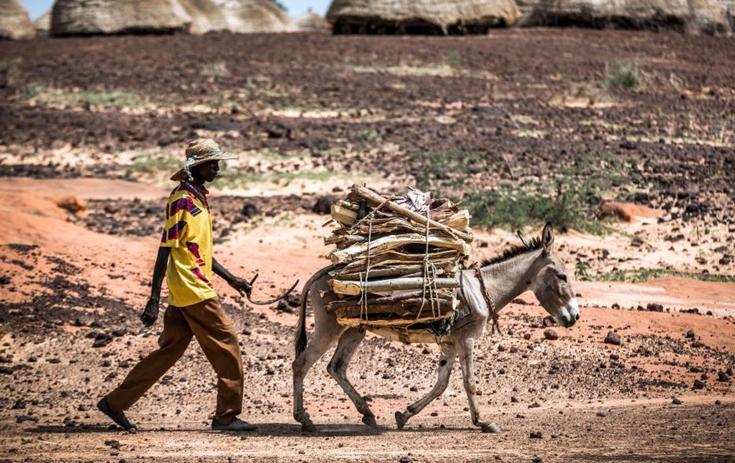 نەتەوە یەکگرتووەکان: تاوەکو ساڵی 2050 گۆڕانی کەشوهەوا کاریگەری لەسەر 75٪ی دانیشتووان دەبێت