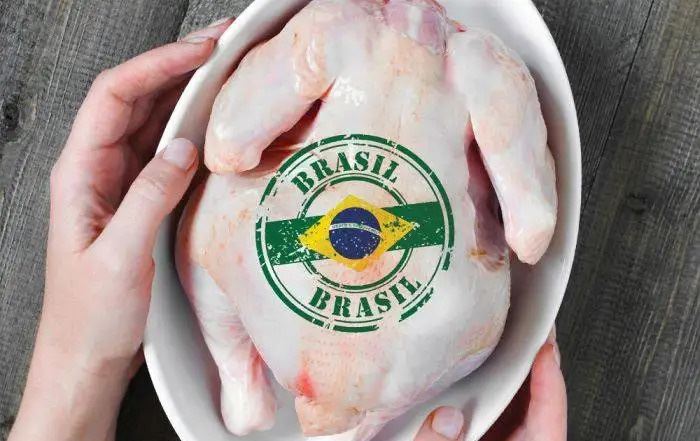 لەنێو وڵاتانی عەرەبیدا عێراق سێیەم هاوردەکاری مریشکی بەرازیلییە