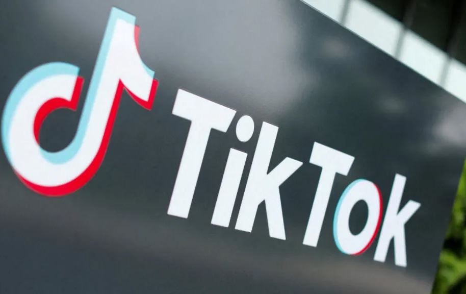 حکومەتی ئەلبانیا بۆ ماوەی ساڵێک تیکتۆک رادەگرێت