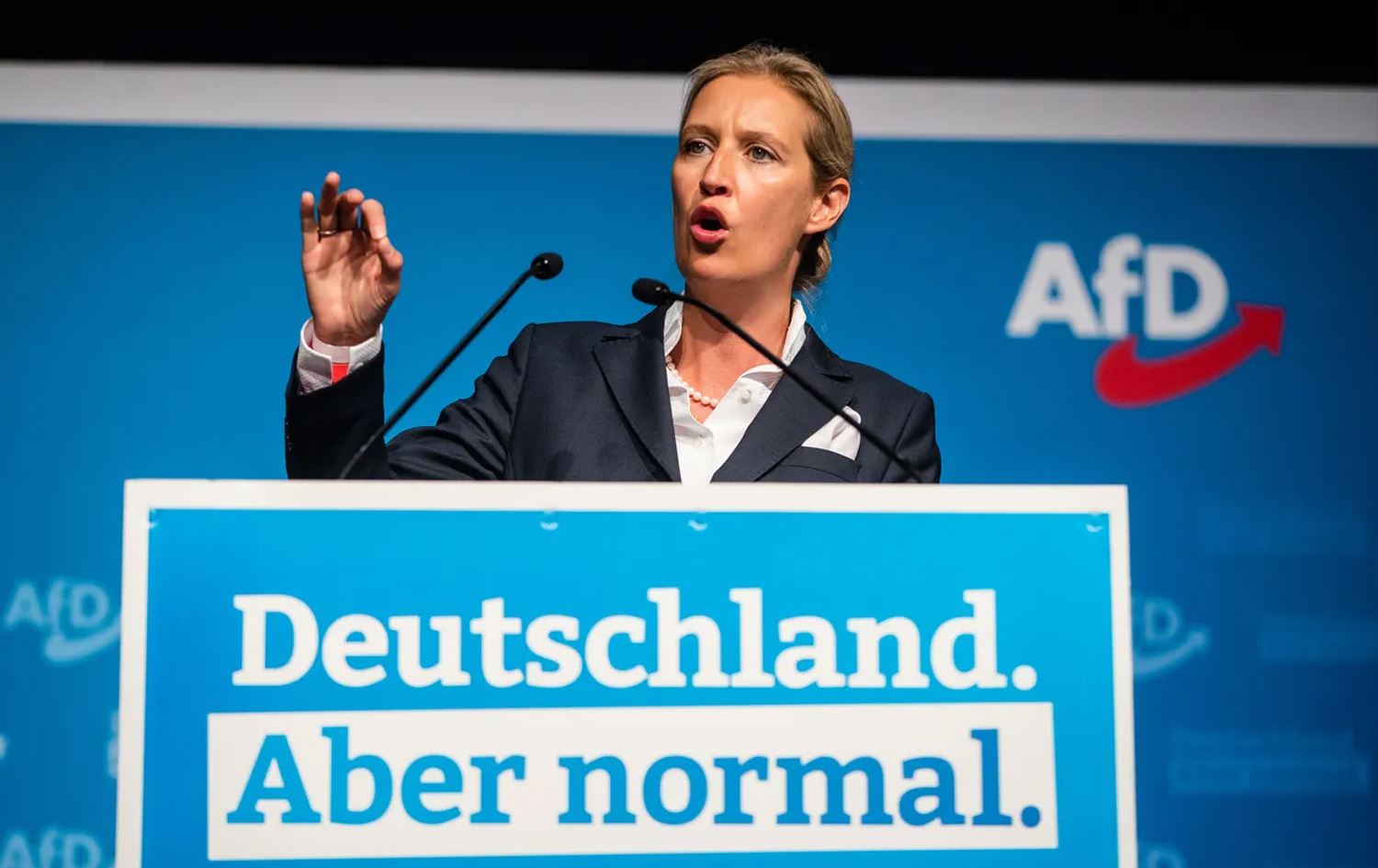 Foto: Almanya için Alternatif (AfD) Partisi başbakan adayı Alice Weidel