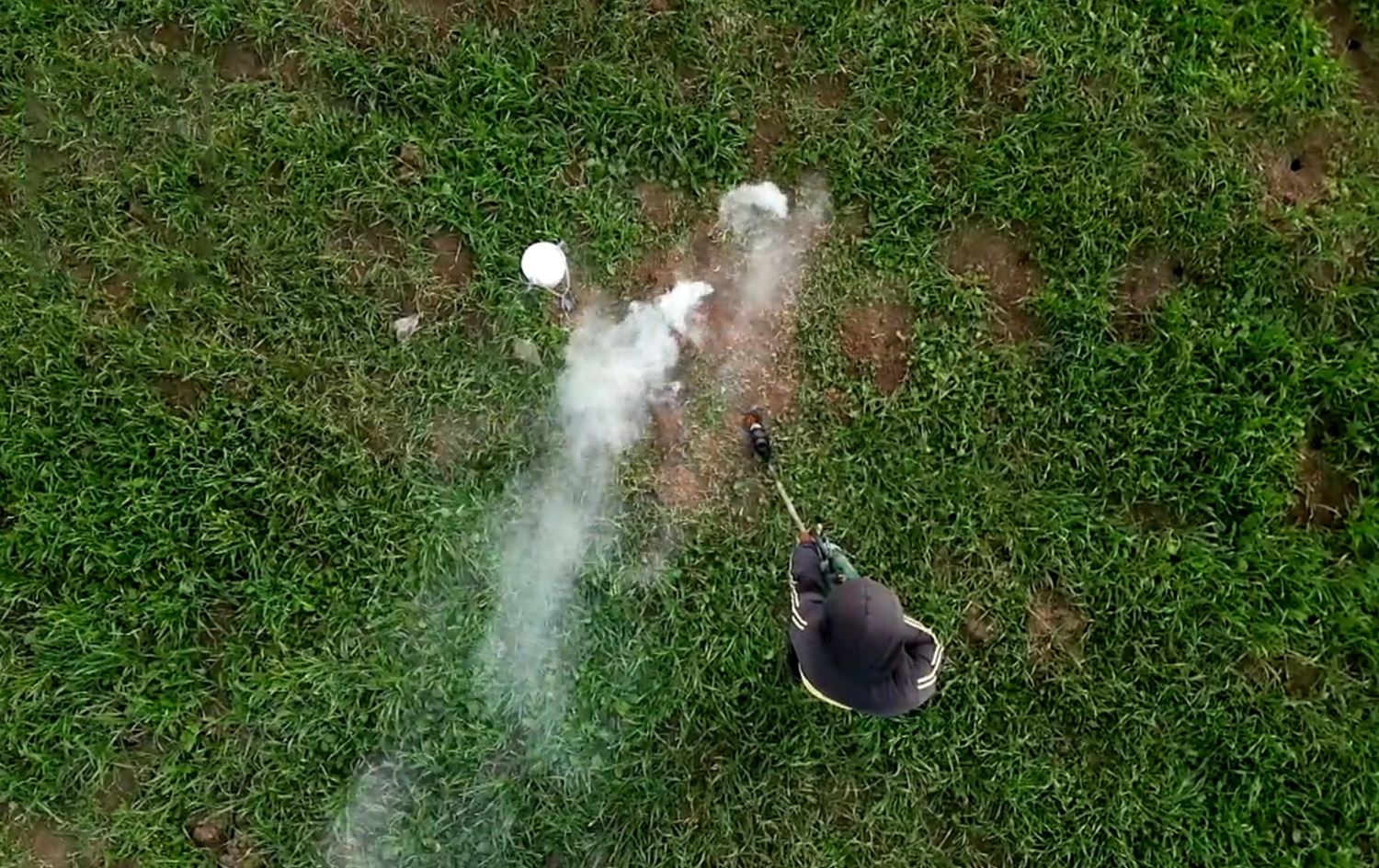 Rats, mice pose a threat to wheat farms in Duhok