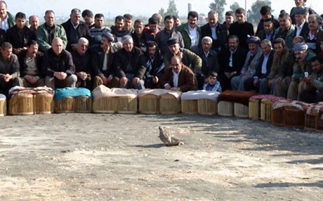 دەڤەری راپەرین: ساڵانە لە هەر چوار پارچەی کوردستانەوە بۆ شەڕە کەو کۆدەبنەوە