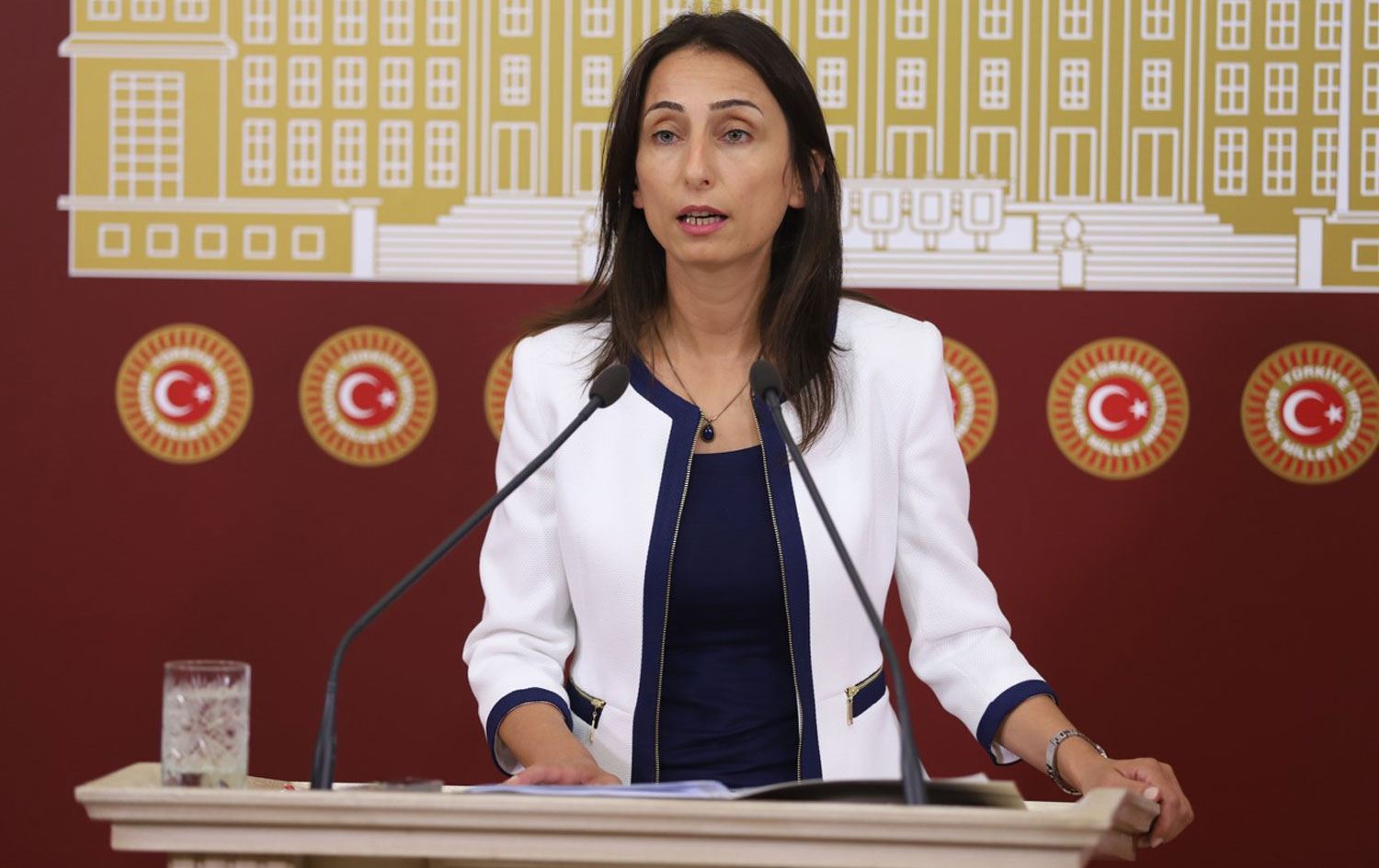 Hevseroka DEM Partiyê Tulay Hatimogullari / Wêne: Arşîv