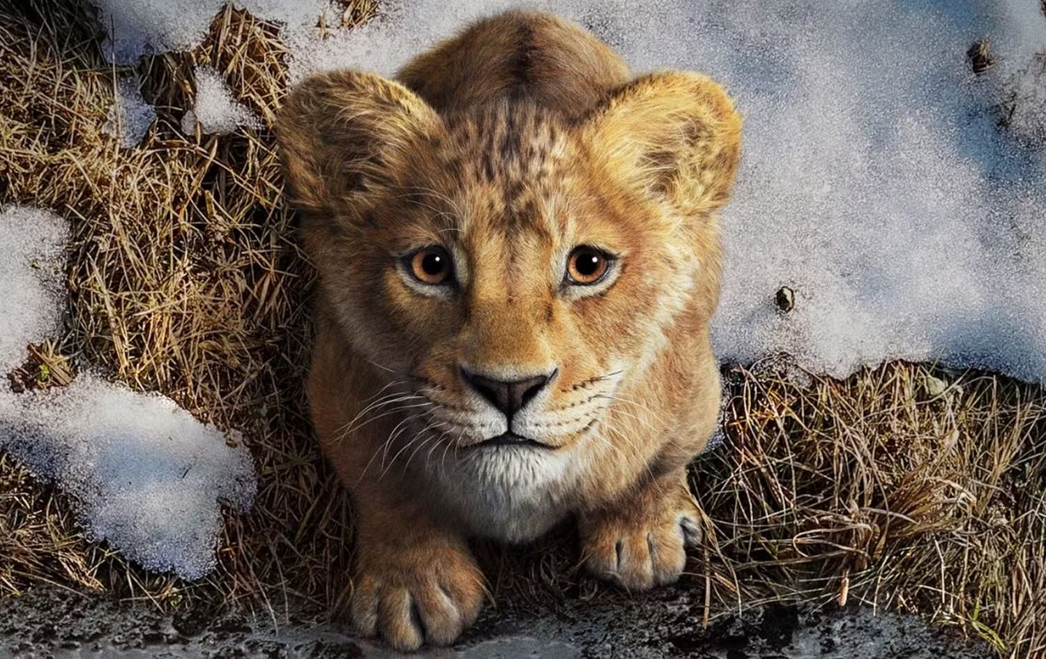 دیمەنێک لە فیلمی "Mufasa: The Lion King"