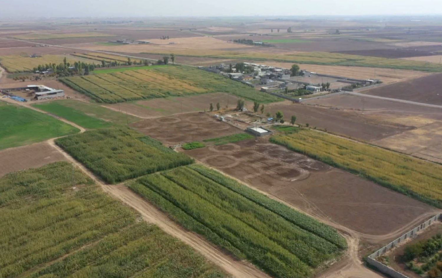 گەڕاندنەوەی 300 هەزار دۆنم زەوی بۆ جووتیارانی کورد و تورکمان بووە یاسا؛ واتای چییە؟