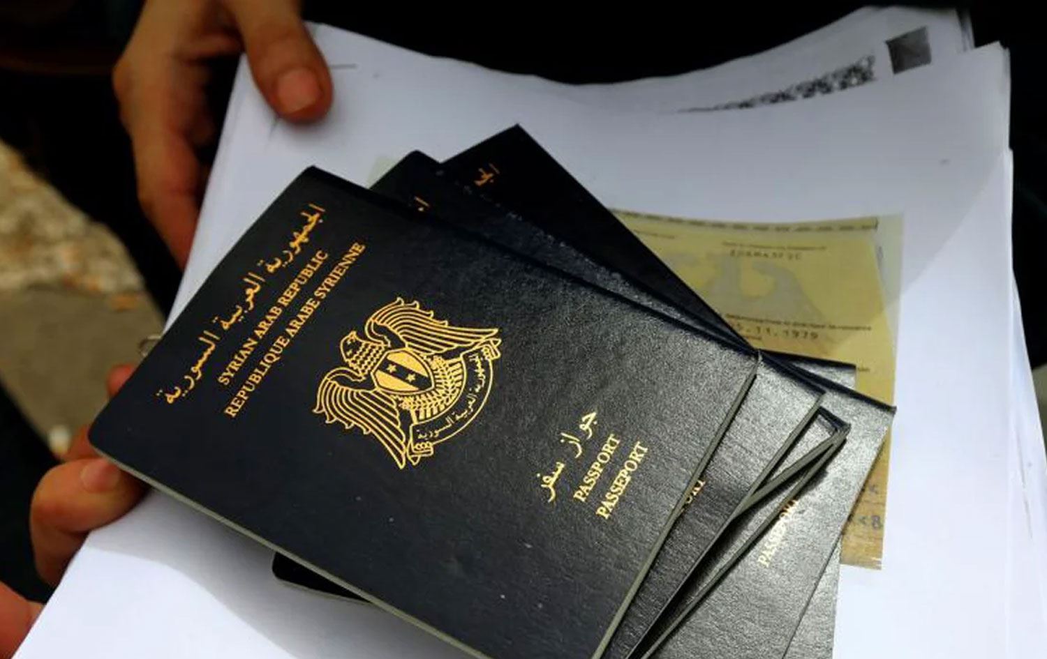 Psaportên Sûriyeyê / Wêne: AFP-Arşîv 