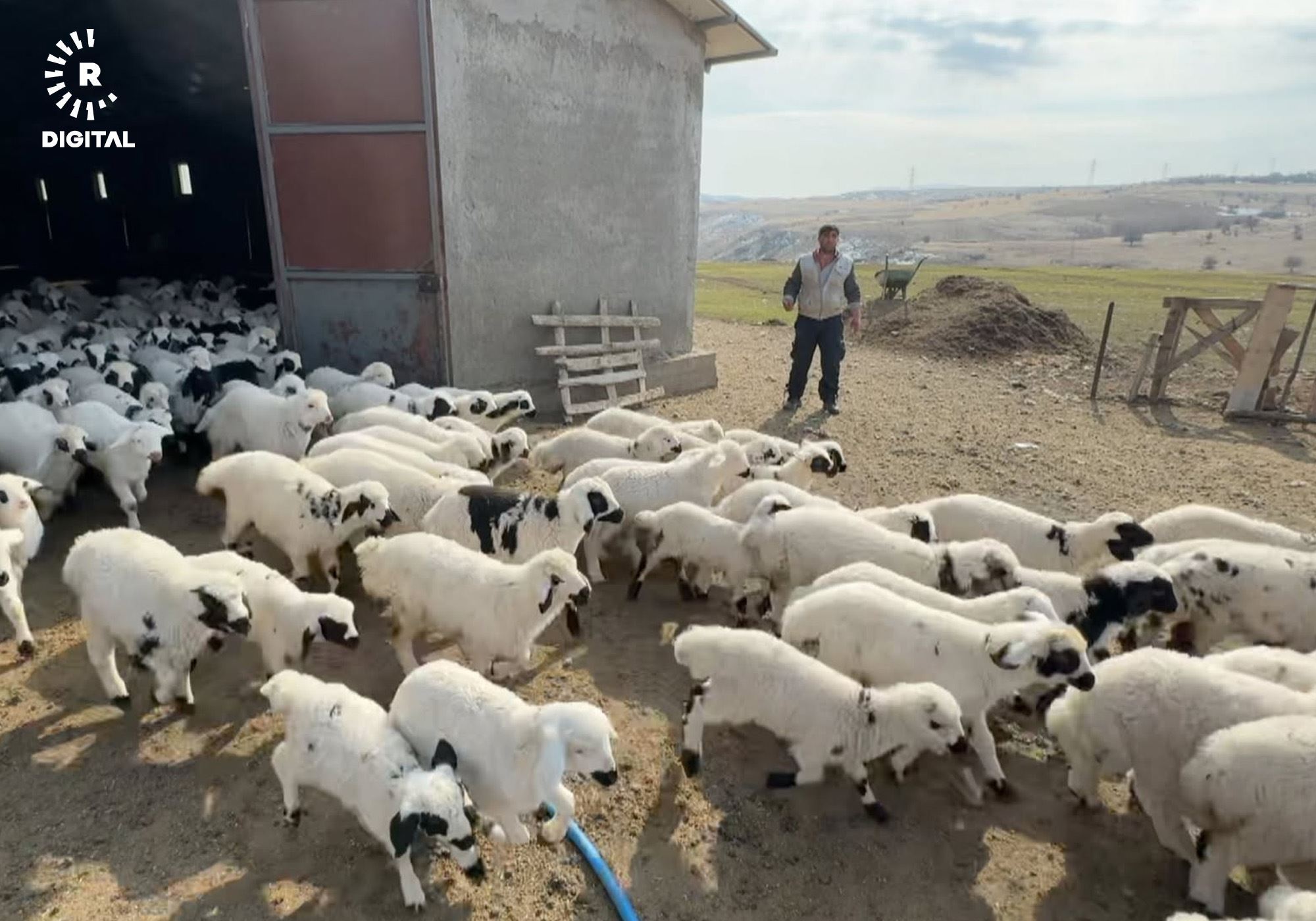 Gundekî ku hatiye karantînakirin / Wêne: Alî Haydar Gozlu, Rûdaw