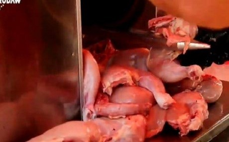 Kurdistan salê 110 hezar ton mirîşk dixwe!