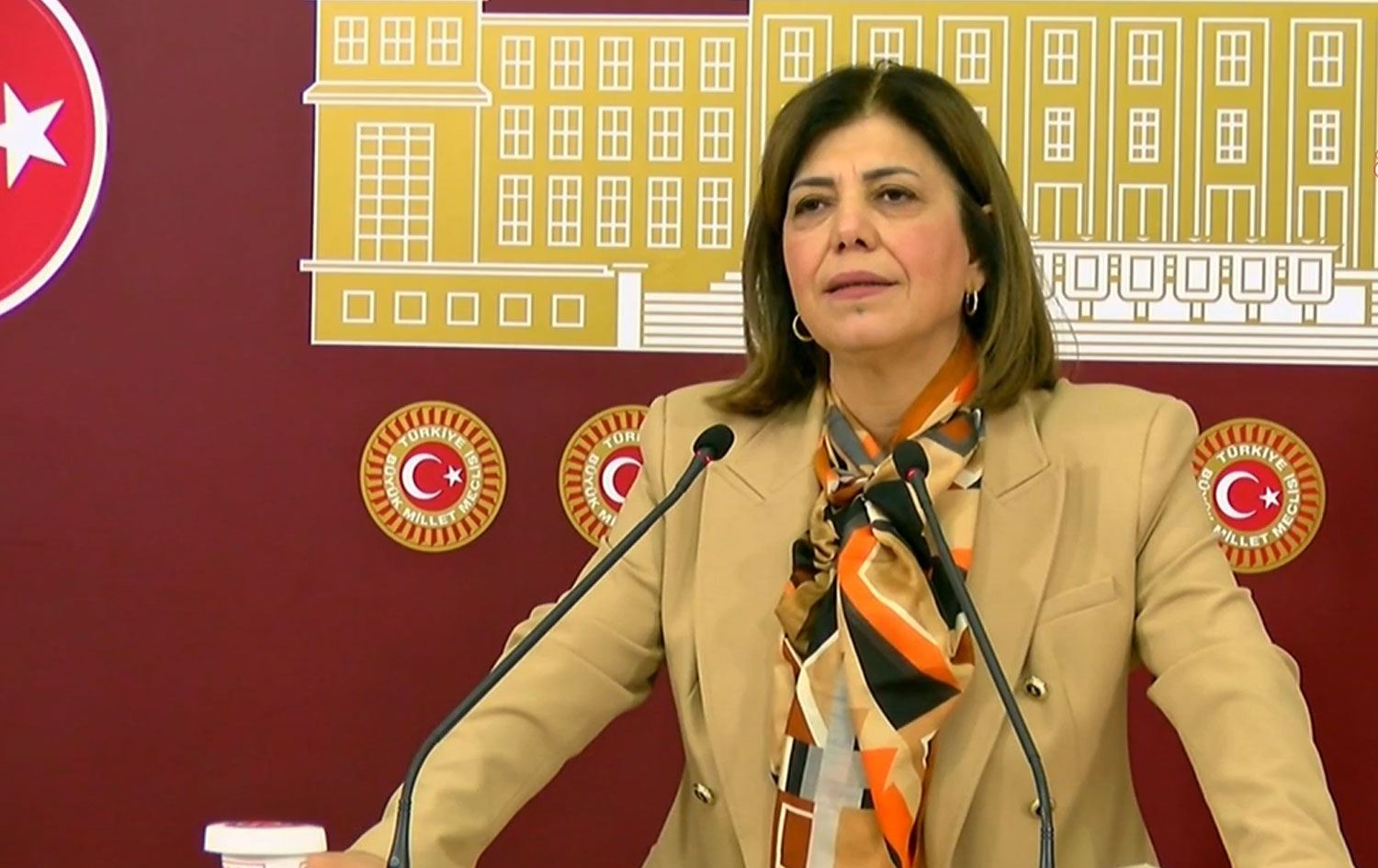 HDK Eş Sözcüsü ve DEM Parti Erzurum Milletvekili Meral Danış Beştaş