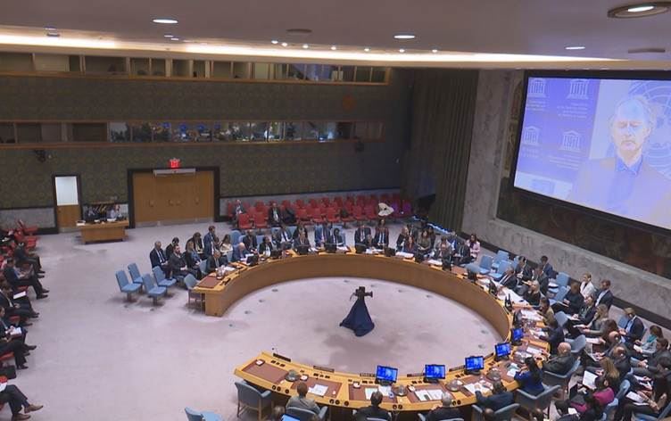 BM Güvenlik Konseyi / Foto: Rûdaw