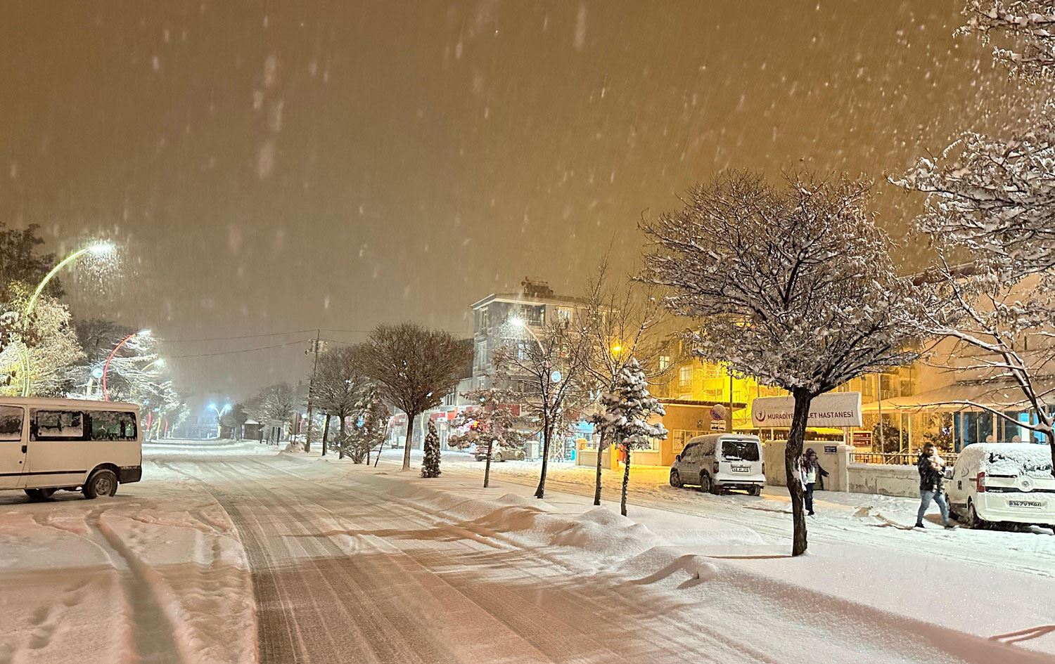 Navçeya Bergiriyê ya Wanê / Wêne: AA