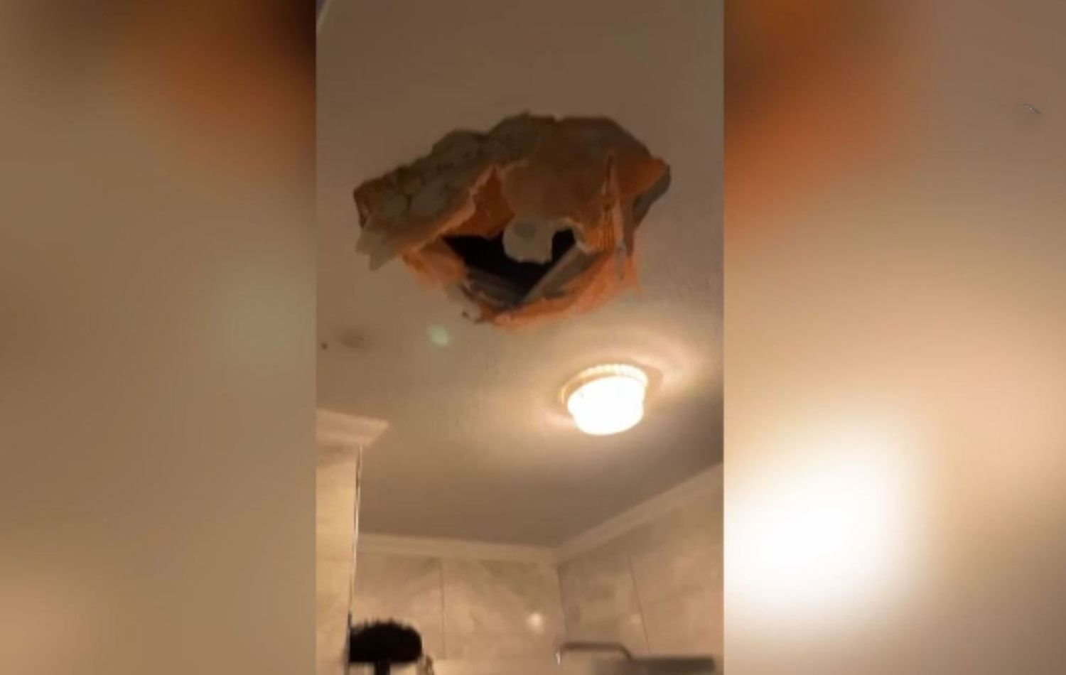 Delinen tavan. / Video alıntısı / AA