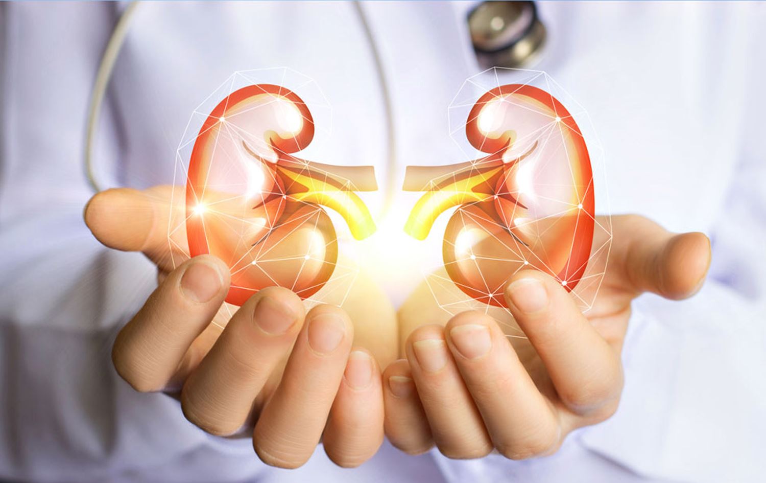 راوێژکارێکی نەخۆشییەکانی گورچیلە: بۆ بەڕۆژووبوون راوێژ بە پزیشکی پسپۆر بکرێت