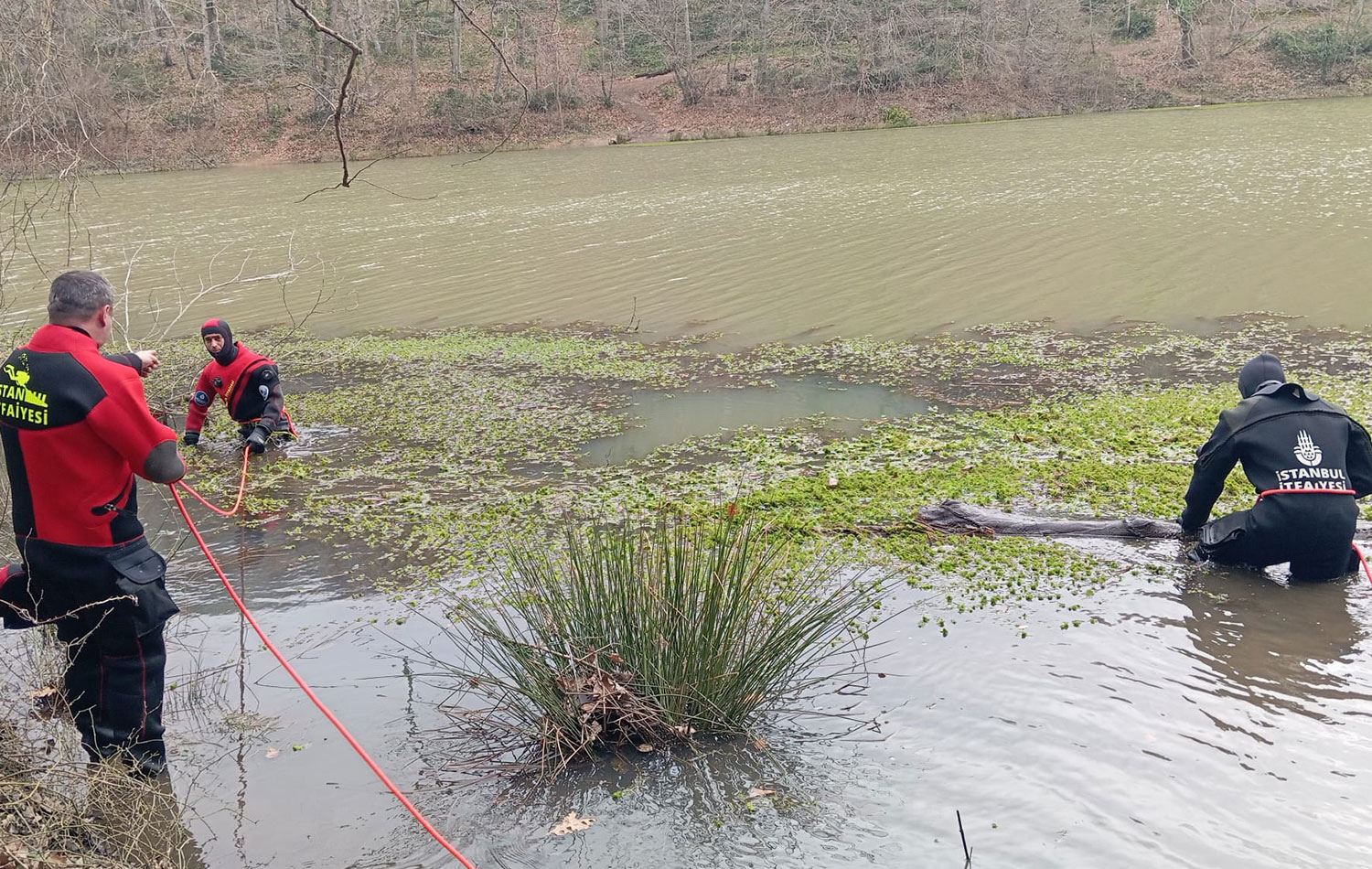 Belgrad Ormanları'nda kaybolan Ece Gürel'i arama çalışmaları sürüyor. / Foto: AA