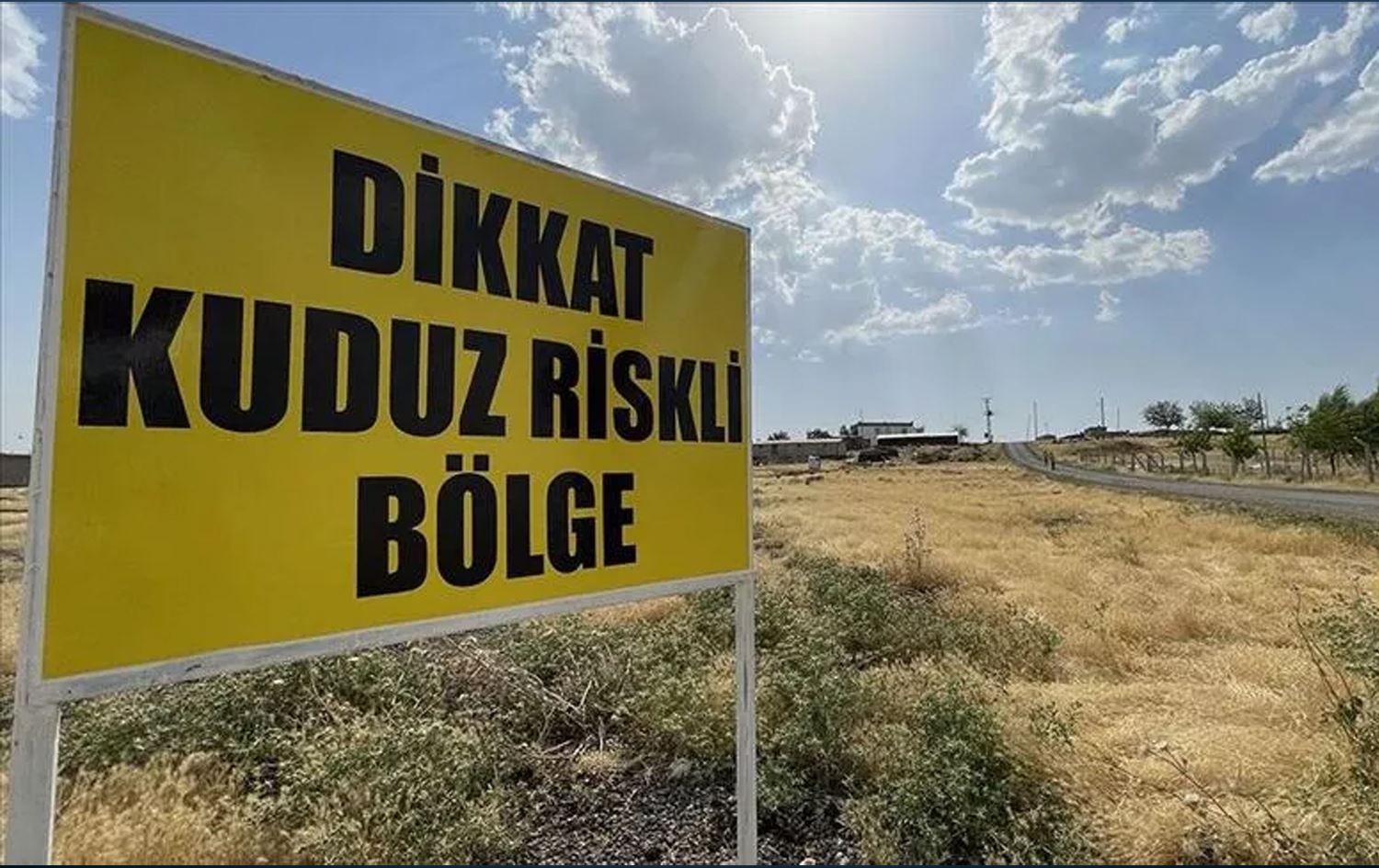 Wêneyekî temsîlî / Arşîv