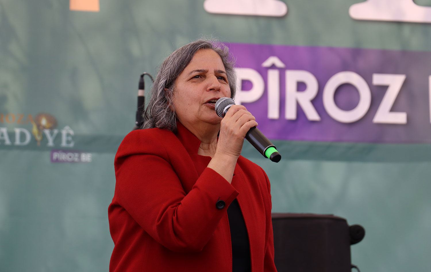 Gültan Kışanak, Karakoçan'daki Newroz kutlamasında açıklama yaptı