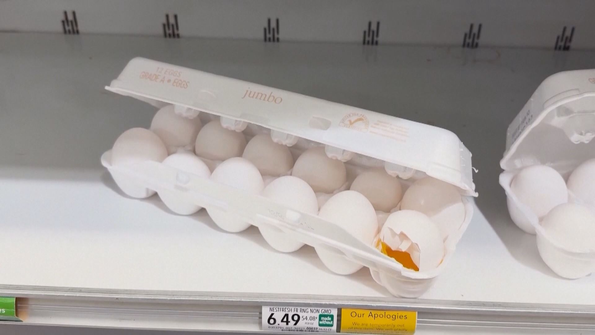 هێلکە لە ئەمریکا گران و کەمە؛ لە ئەڵمانیاوە هاوردەی دەکات