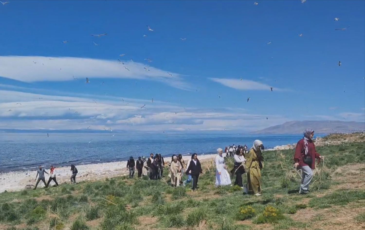 Komeleya Vadî Dogayê li berava Gola Wanê geriya / Wêne: Rûdaw