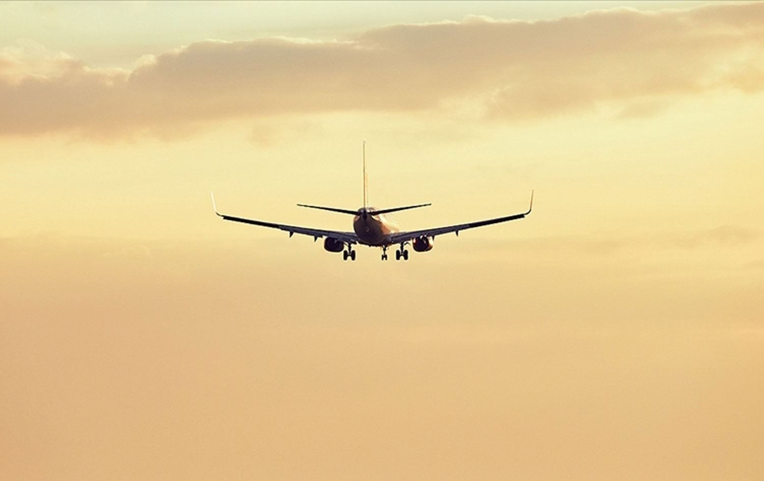 Wêneyekî temsîlî / AA-Arşîv