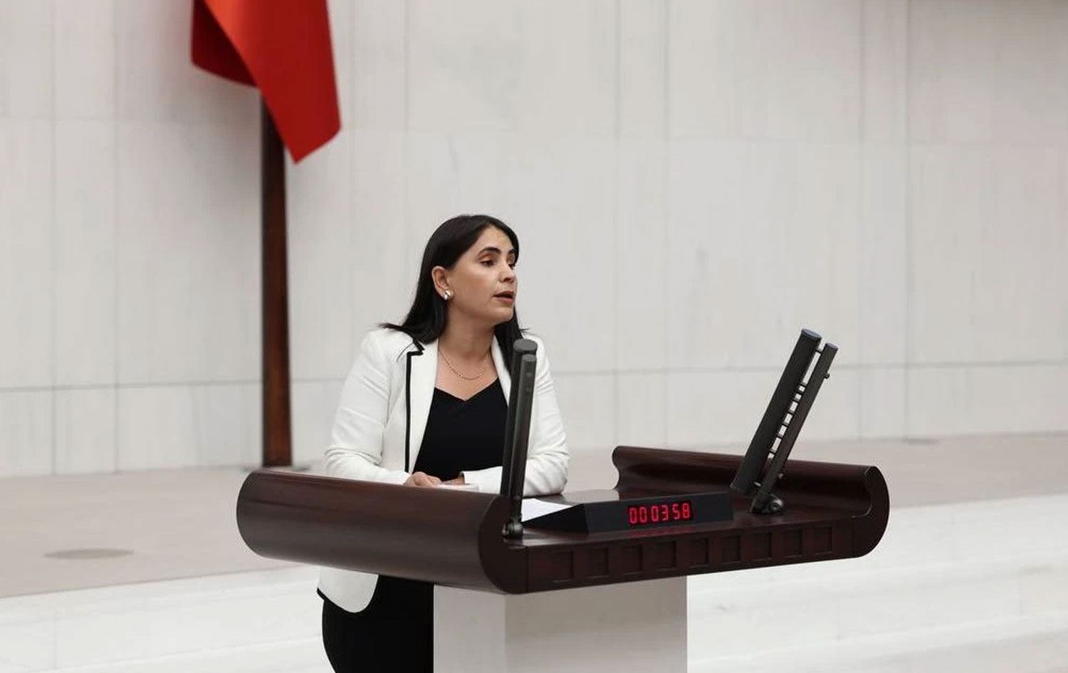 Newroz Uysal Aslan / Wêne: AA- Arşîv