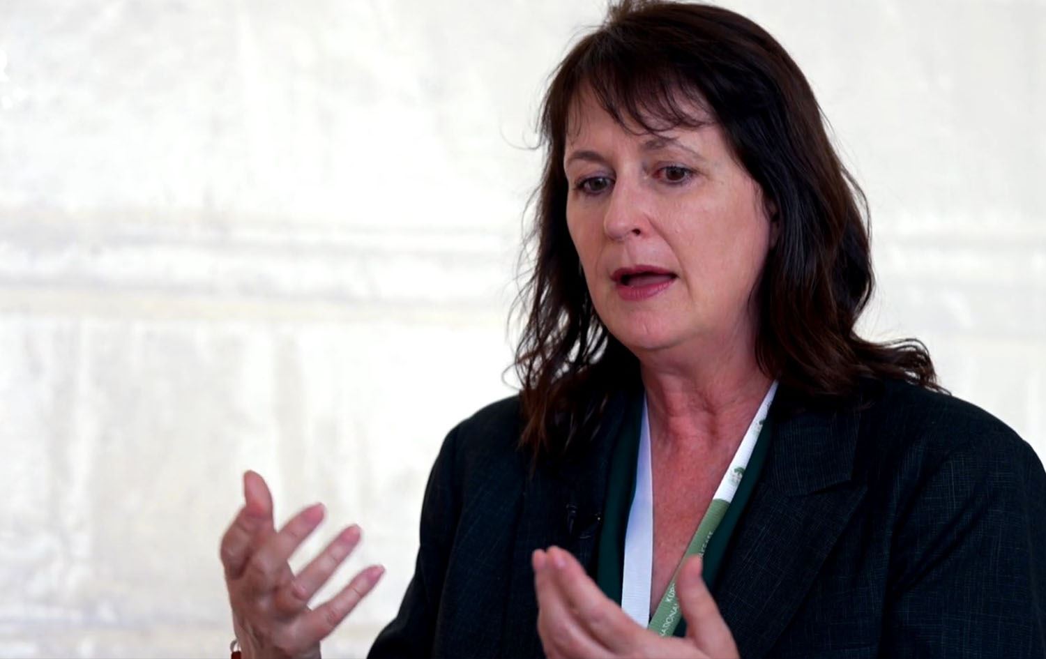 Displaced Kurds, Yazidis fear return to Afrin: Activist