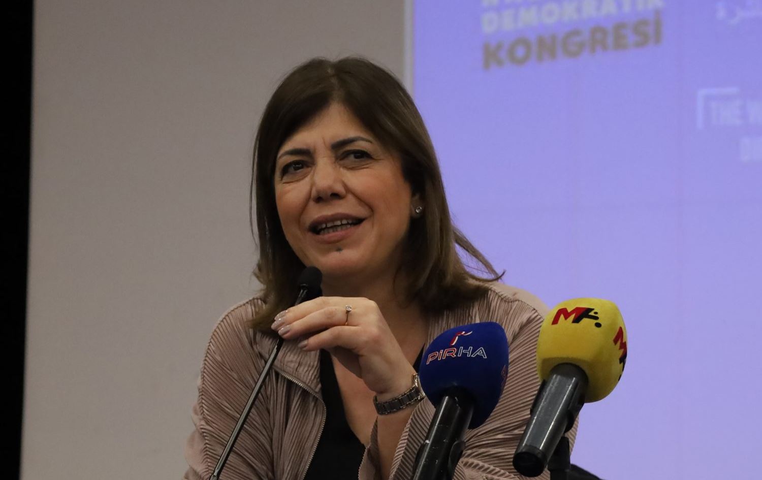 Hevberdevka Kongreya Civaka Demokratîk (HDK) Meral Daniş Beştaş / Wêne: Pirha