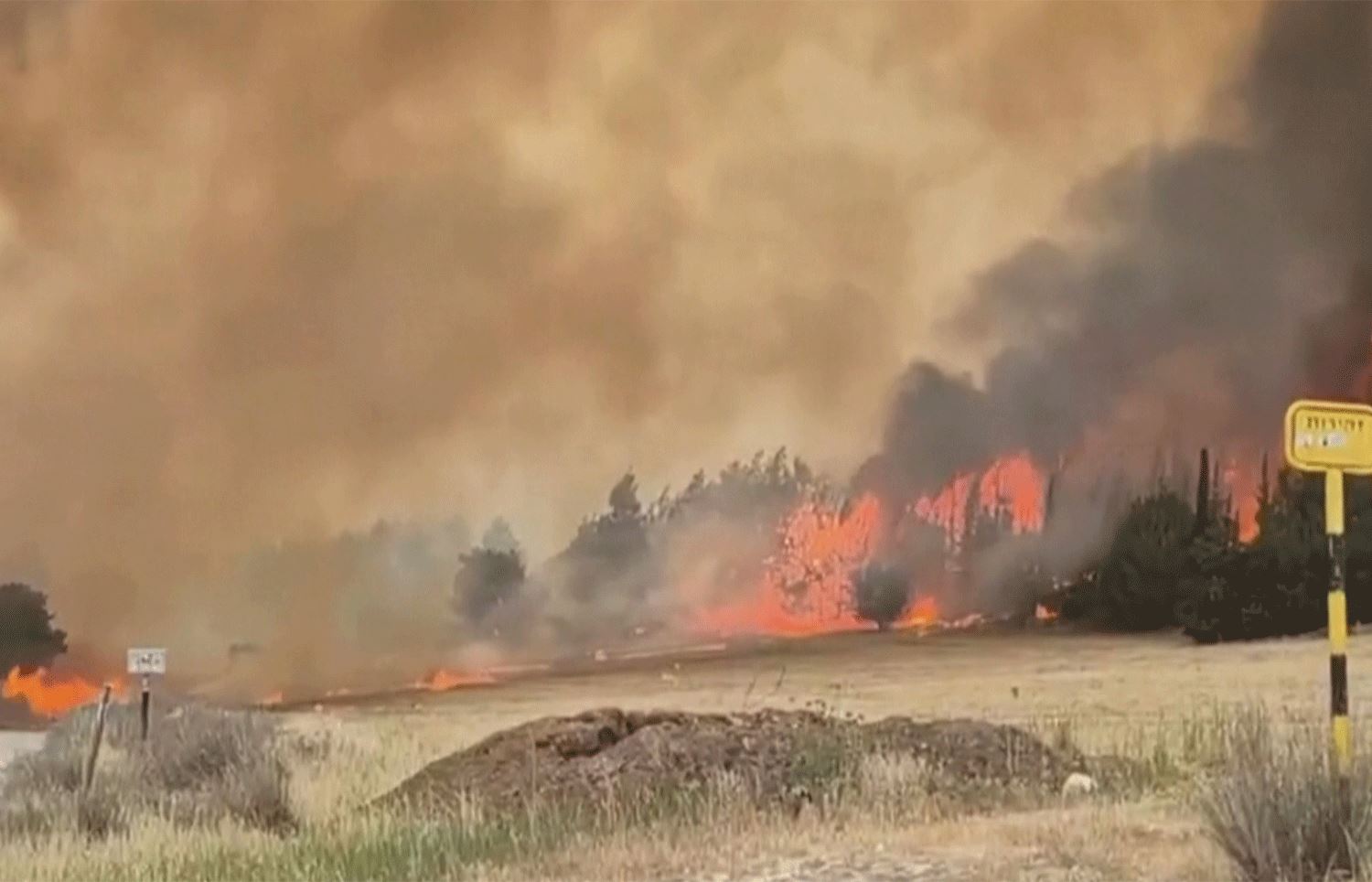 نەتەنیاهوو ژمارەیەک فەڵەستینی بە کردنەوەی ئاگری دارستانەکان تۆمەتبار دەکات