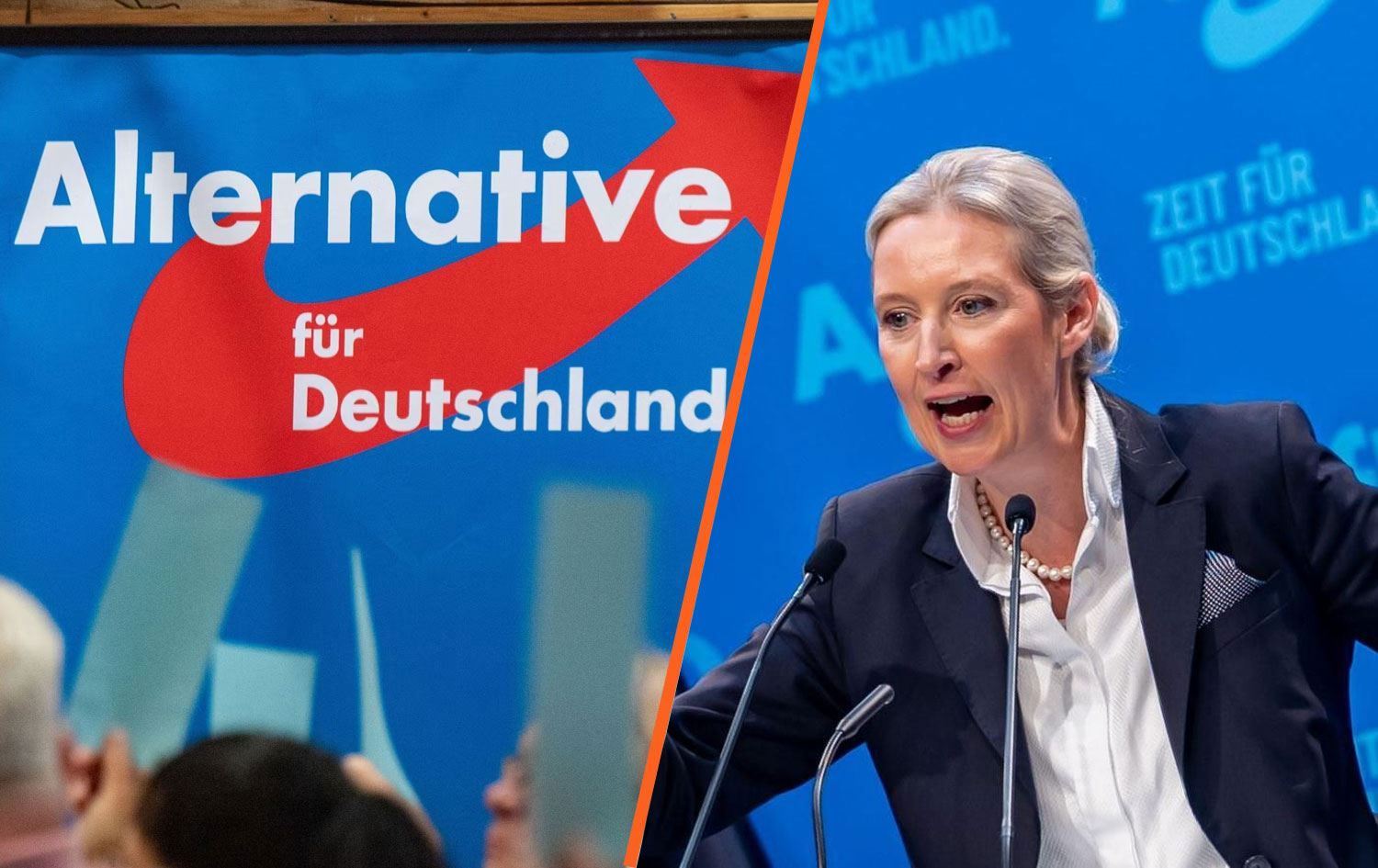 Hevseroka AfDyê Alice Weidel /Wêne: Rûdaw Grafîk