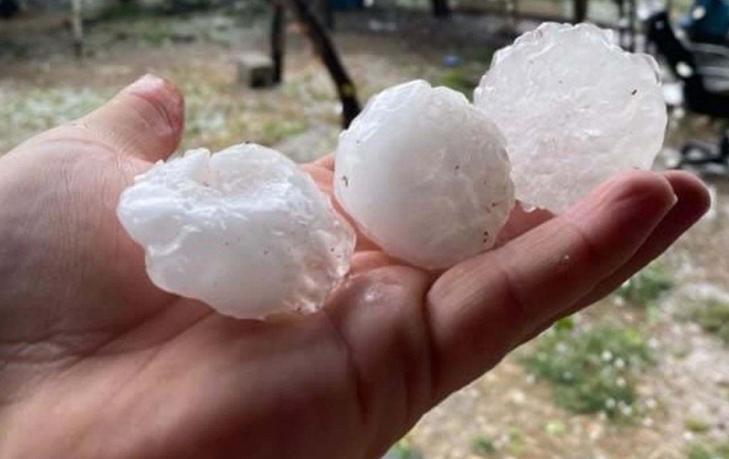 Zîpik / Wêne: Ajans