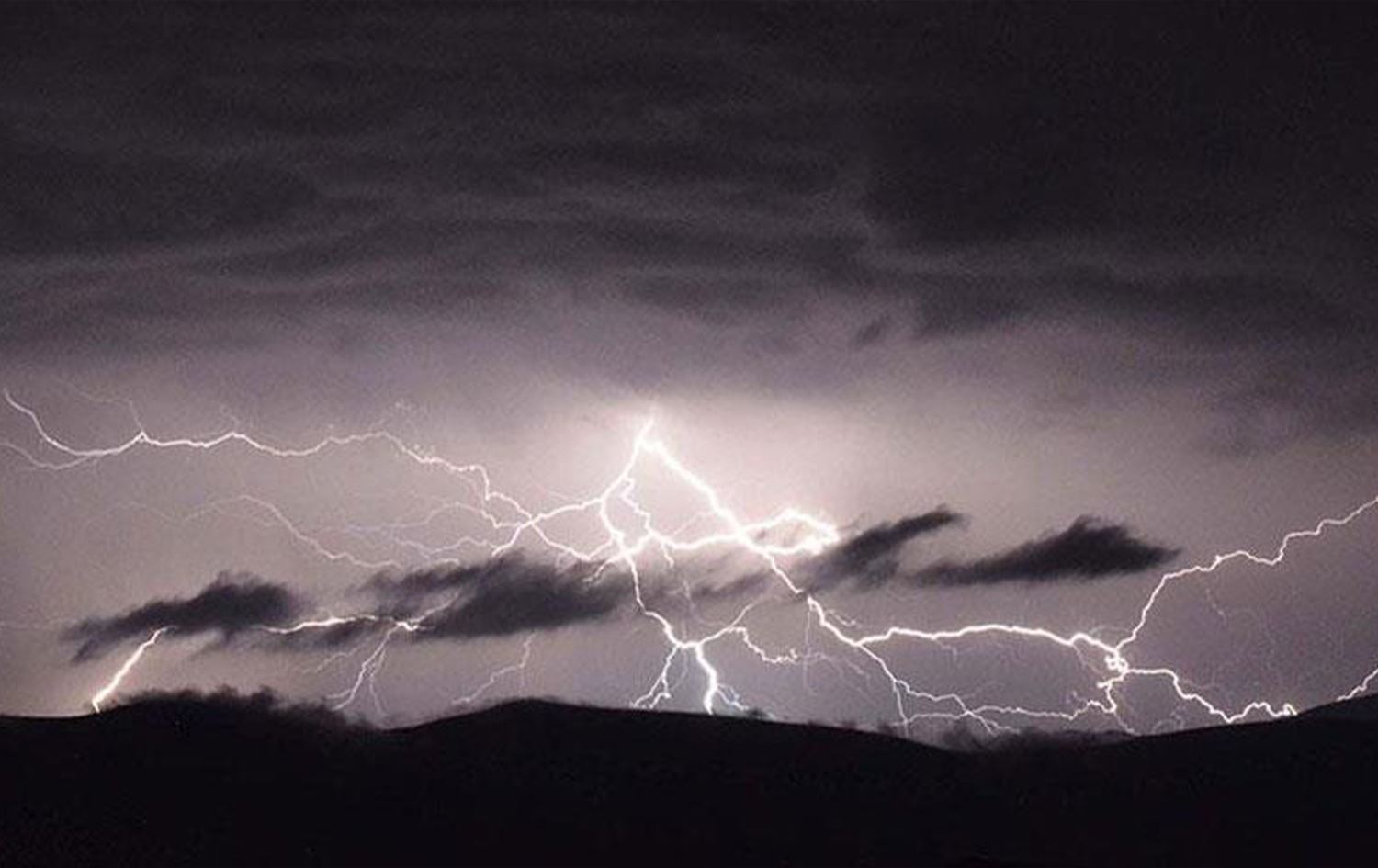 Birûsk vedidin / Wêne: Arşîv