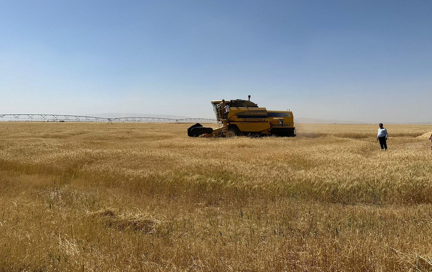 ئەندامێکى ئەنجوومەنى پارێزگاى نەینەوا: 40%ى زەویی ناوچەکانى 140 لە دەرەوەى پلانى کشتوکاڵین