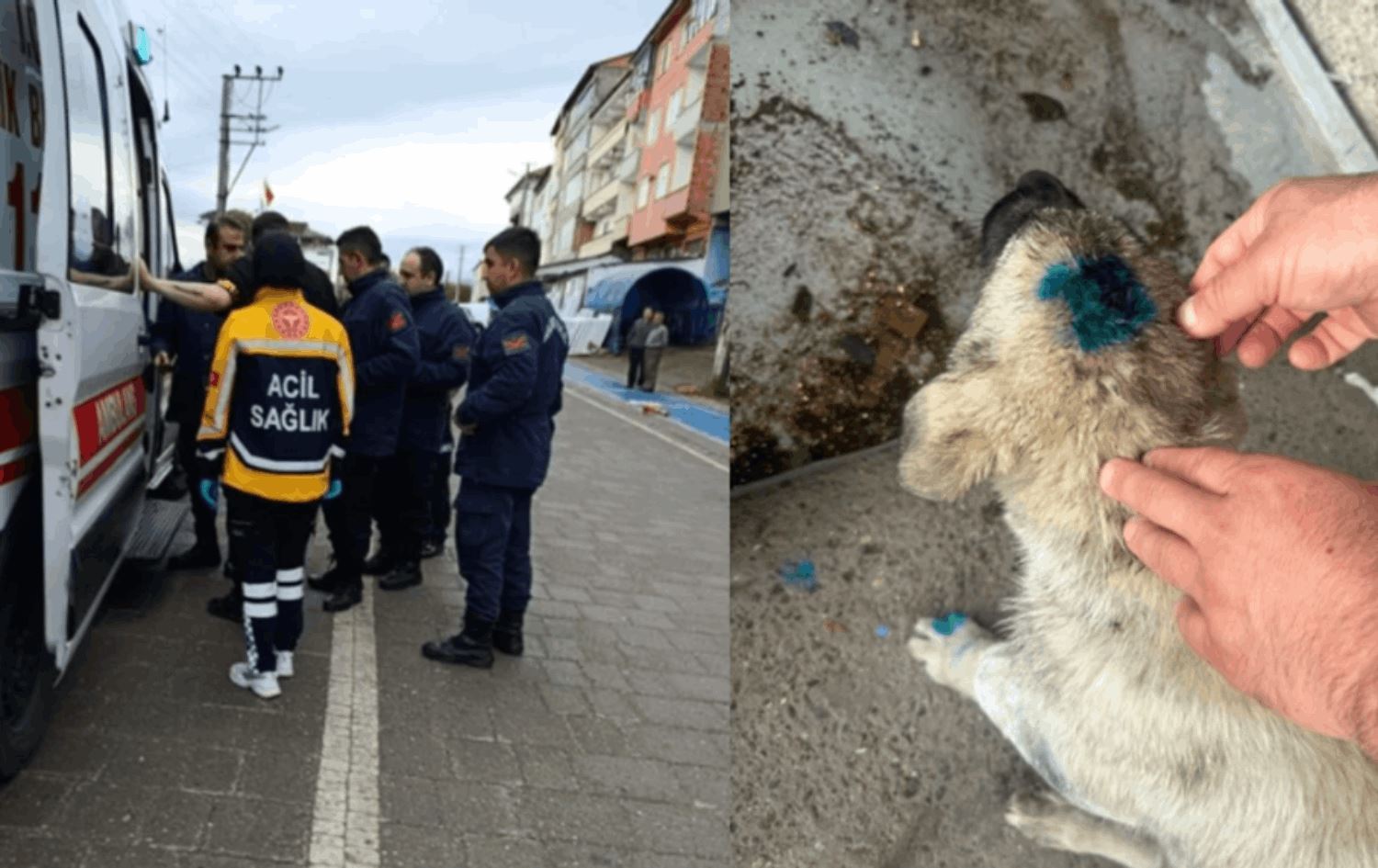 Cihê bûyerê / Wêne: Torên civakî