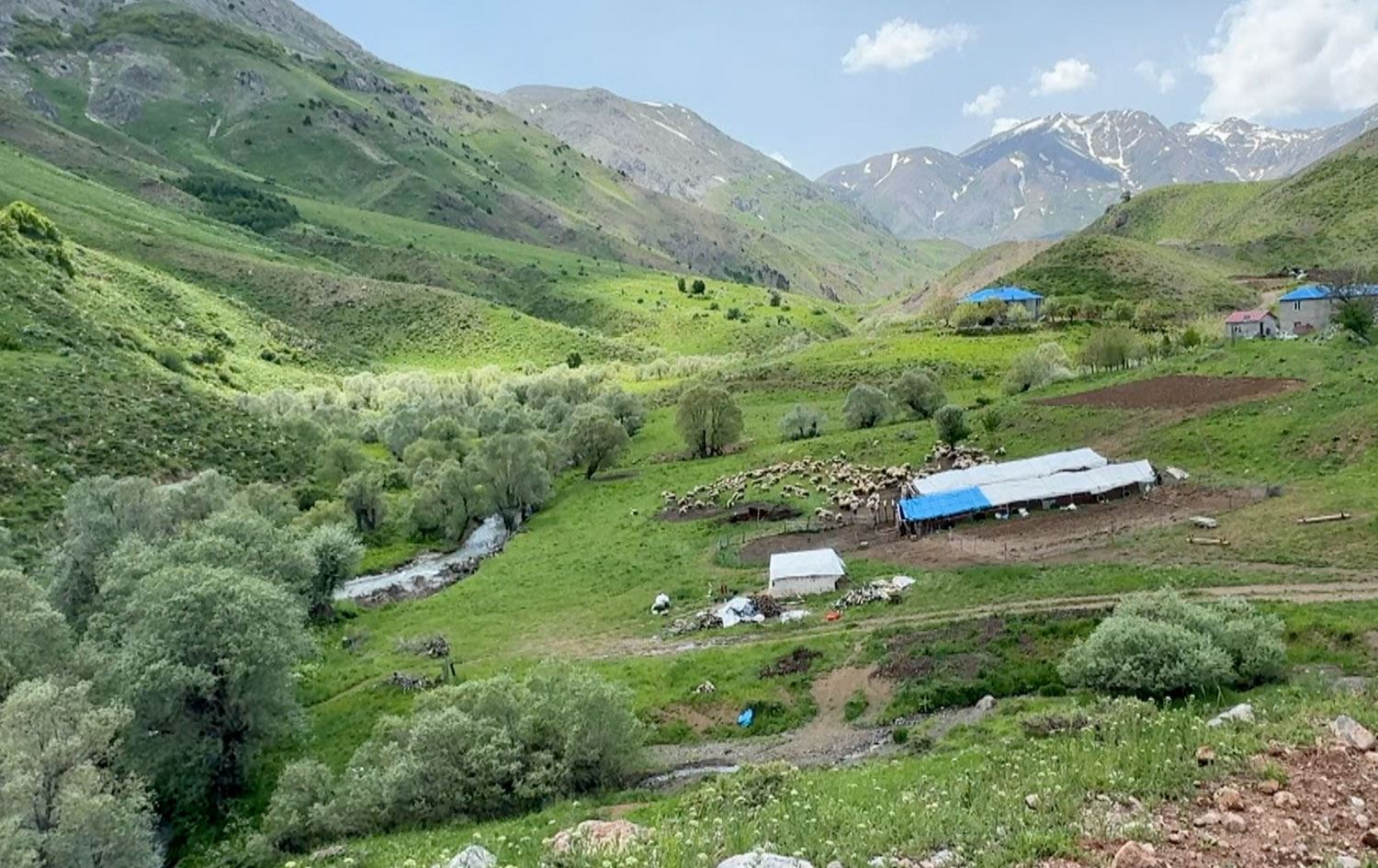 Dersim / Hali Haydar Gözlü / Rûdaw