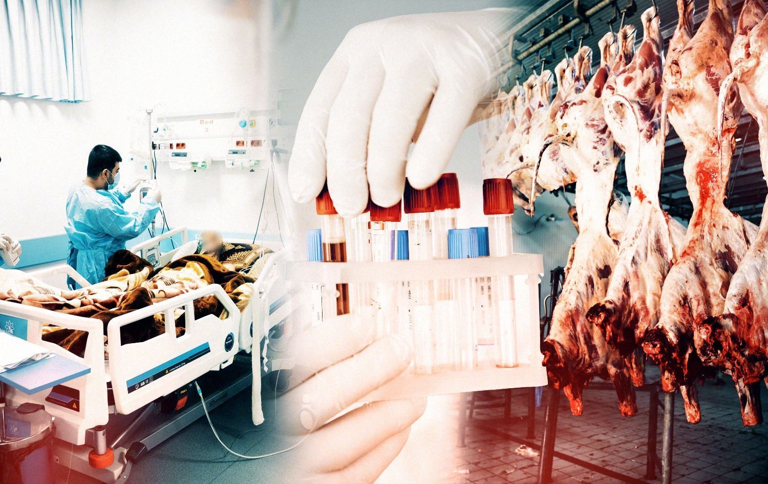 تەندروستیی دهۆک: تووشبوویەکی دیکەی تای خوێنبەربوون تۆمارکرا