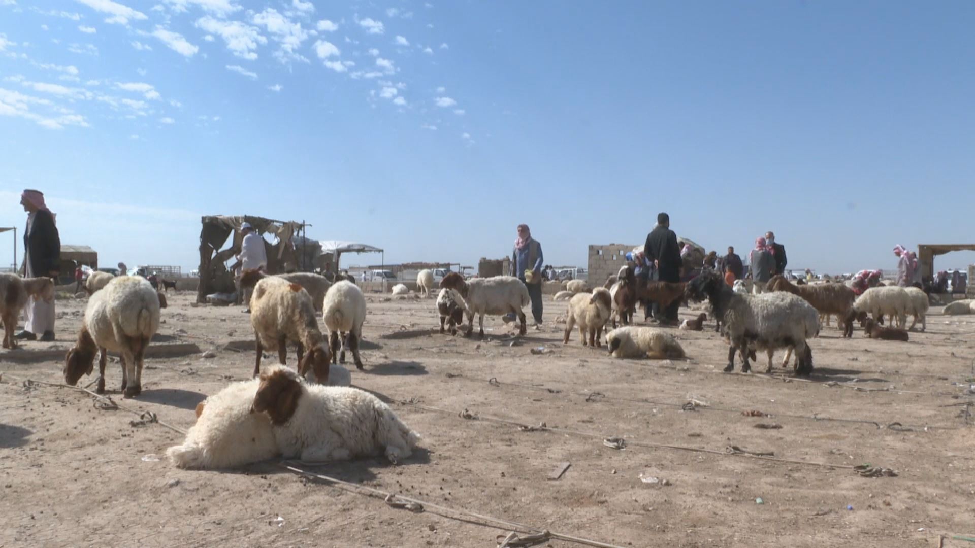 Ajeldarên Rojavayê Kurdistanê / Wêne: Ji ber dîmenan