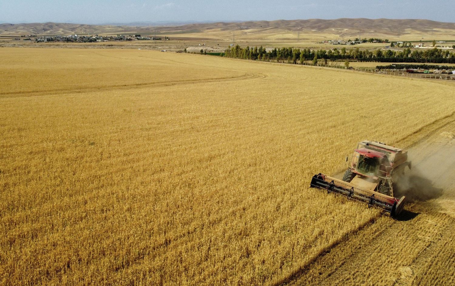 بەغدا رەزامەندی دا گەنمى دەرەوەى پلان لە کەرکووک وەربگیرێت
