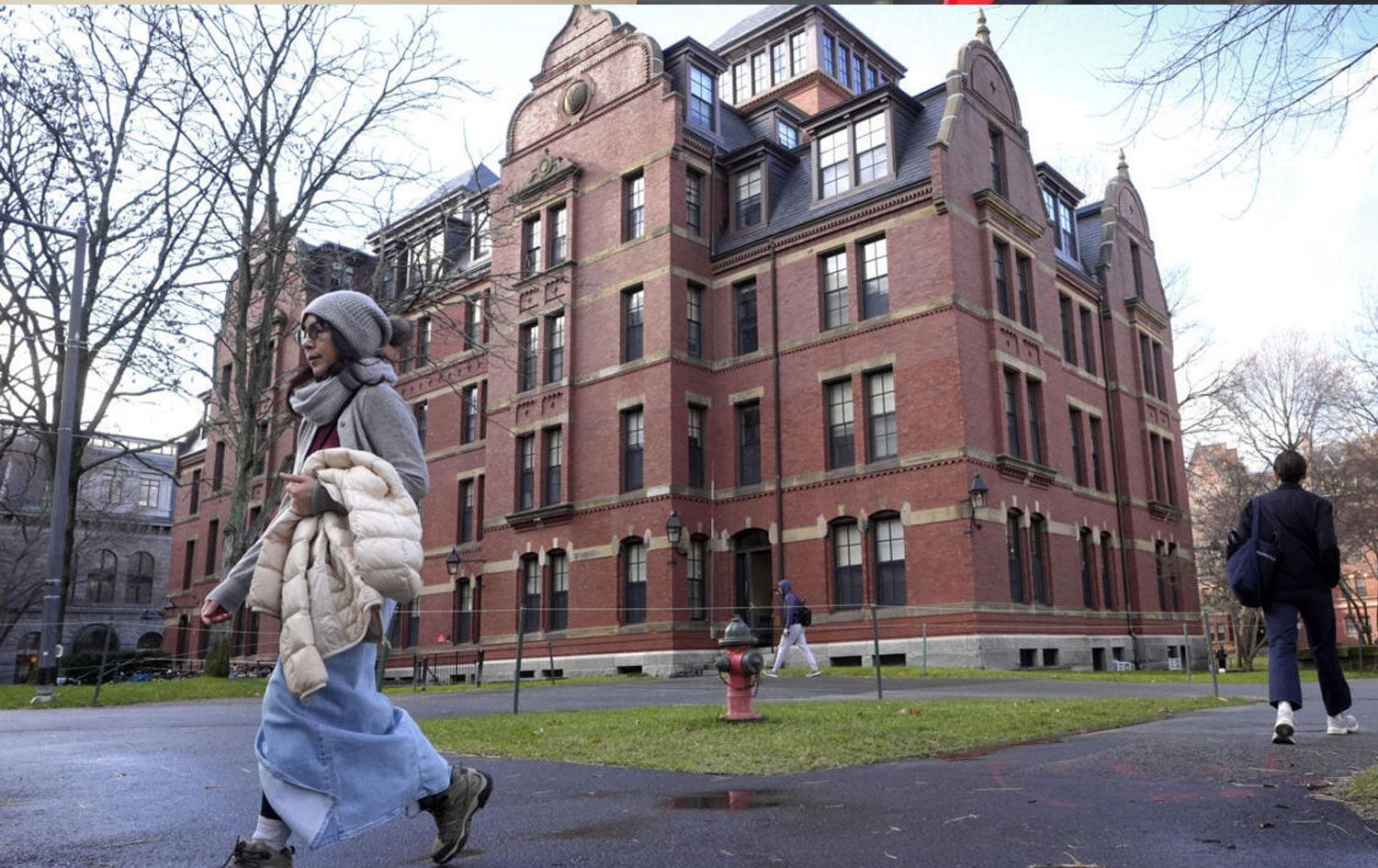 Zanîngeha Harvardê / Wêne: Arşîv