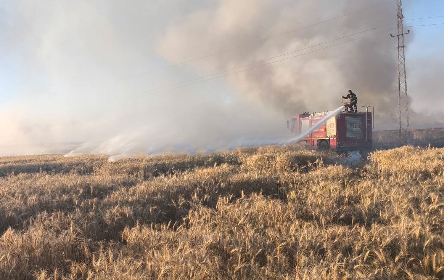 Agir bi genim ket / Wêne: Gerînendehiya Agirvemirandinê ya Mêrdînê 