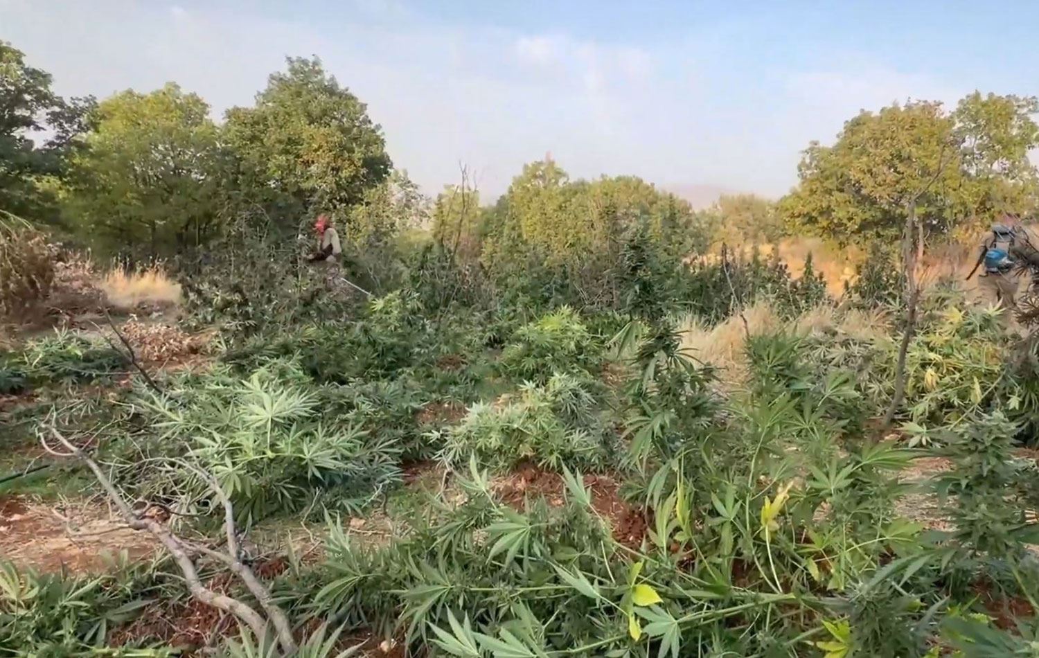 Foto. Operasyondan görüntü, ekran alıntısı.