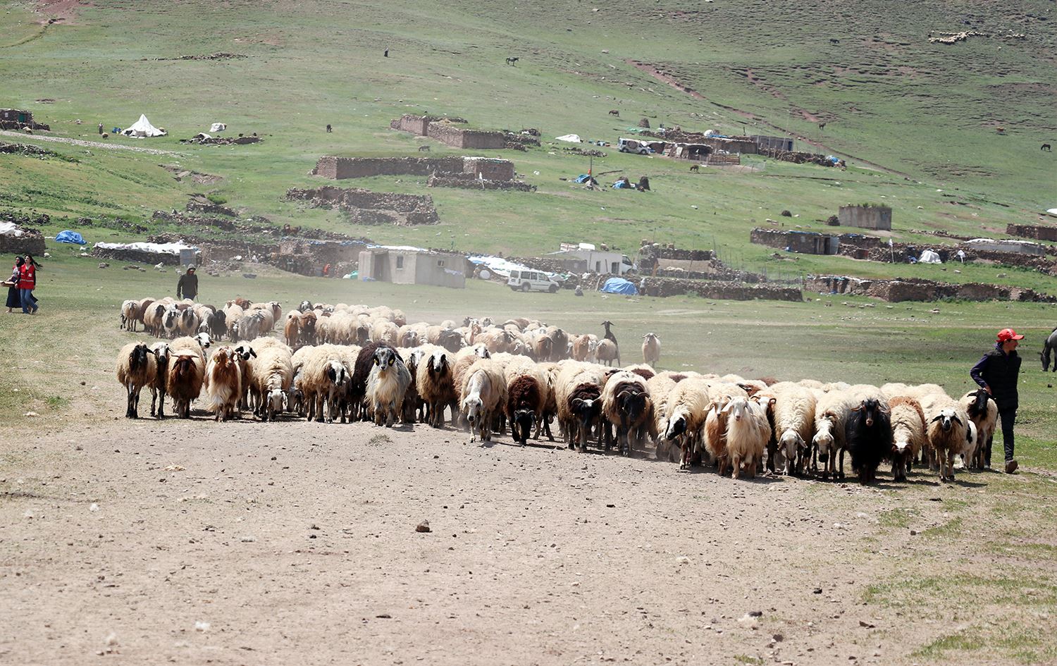 Şivan pezê xwe dibin çêrê / Wêne: AA