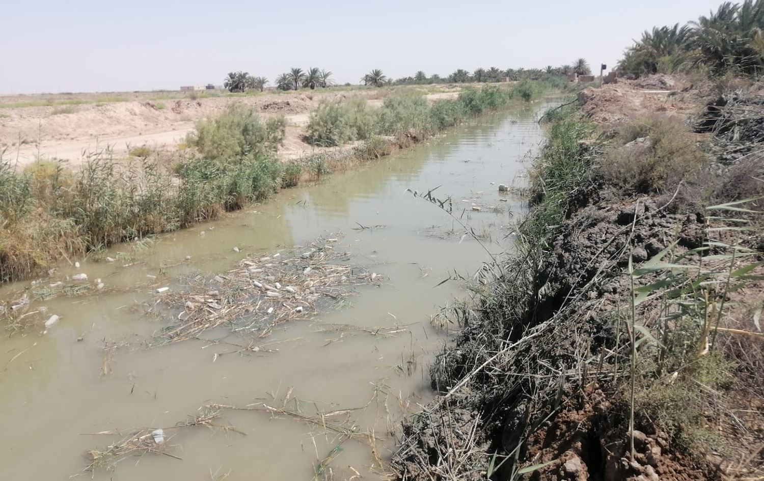 أزمة تلوح في الأفق.. نقص بالايرادات وارتفاع بنسبة ملوحة المياه في العراق
