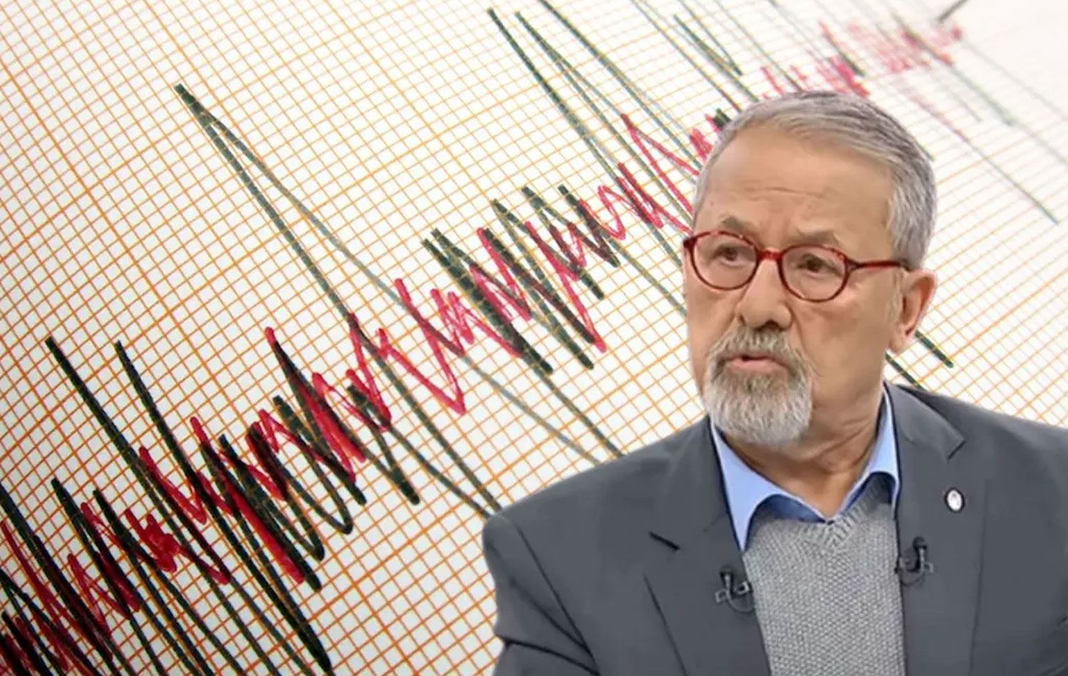 Prof. Dr. Naci Görür / Arşiv